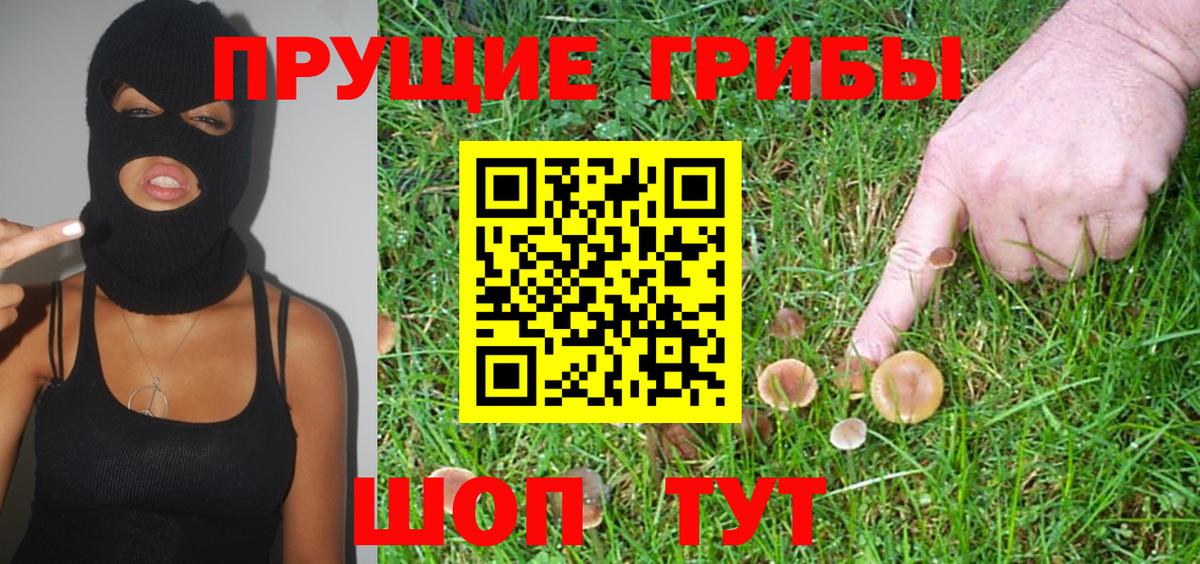 Псилоцибиновые грибы ЛСД  купить закладку  Тайшет  Вход с VPN 