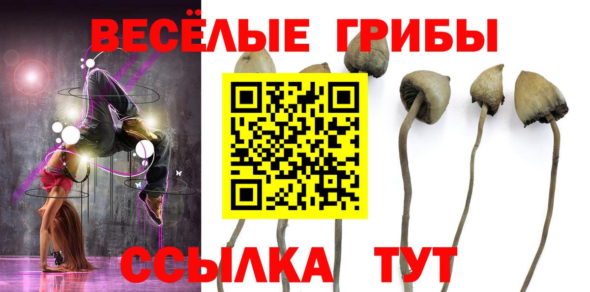Галлюциногенные грибы GOLDEN TEACHER Тайшет